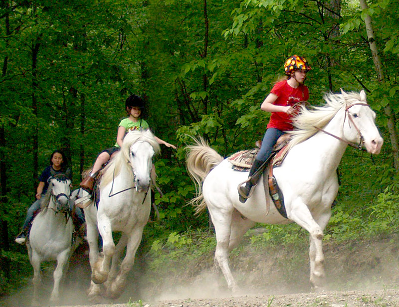rocking riding horse